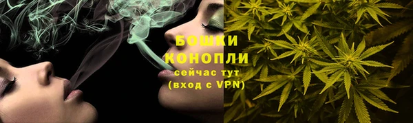 прущие грибы Бронницы