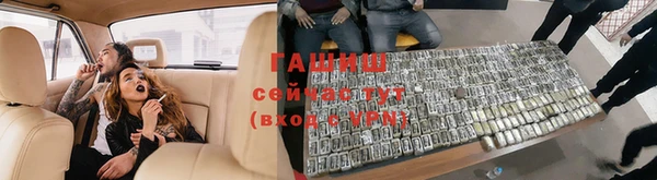 тгк Бородино