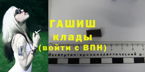 тгк Бородино