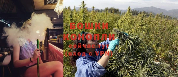 тгк Бородино