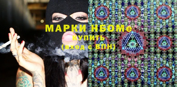 прущие грибы Бронницы