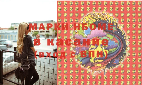 прущие грибы Бронницы