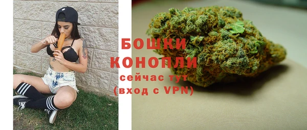 прущие грибы Бронницы